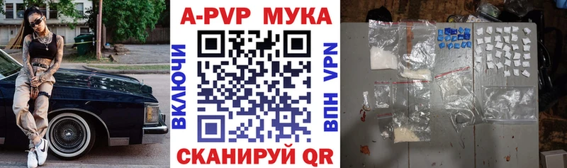 Бошки Шишки Асино