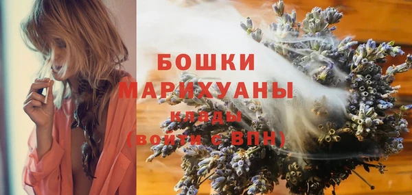 спайс Алексин