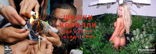 спайс Алексин