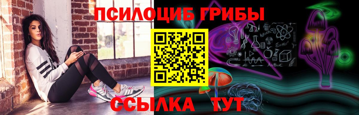 Псилоцибиновые грибы Cubensis Асино